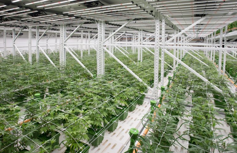 Cannabis facility security camera, access control and compliance recording installation by 360 Technology Group in North and South Carolina